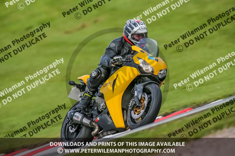 Oulton Park 21st March 2020;PJ Motorsport Photography 2020;anglesey;brands hatch;cadwell park;croft;donington park;enduro digital images;event digital images;eventdigitalimages;mallory;no limits;oulton park;peter wileman photography;racing digital images;silverstone;snetterton;trackday digital images;trackday photos;vmcc banbury run;welsh 2 day enduro